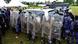 Ugandan riot police line up holding shields