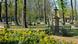 Geusenfriedhof cemetery, Cologne. 